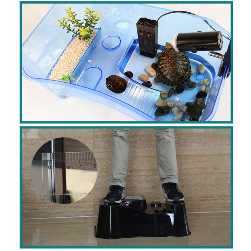 Bể Nuôi Rùa - Nuôi cá ếch thằn lằn chuột đều được - Size Lớn & Cực Lớn