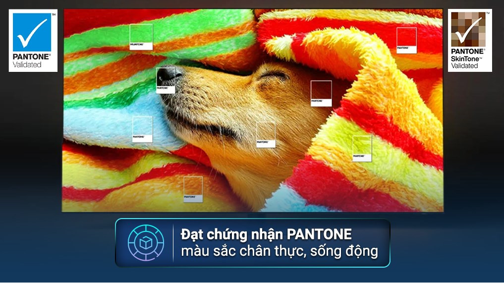 Smart Tivi QLED 4K 75 inch Samsung QA75Q80C - Hàng Chính Hãng - Chỉ Giao Hà Nội