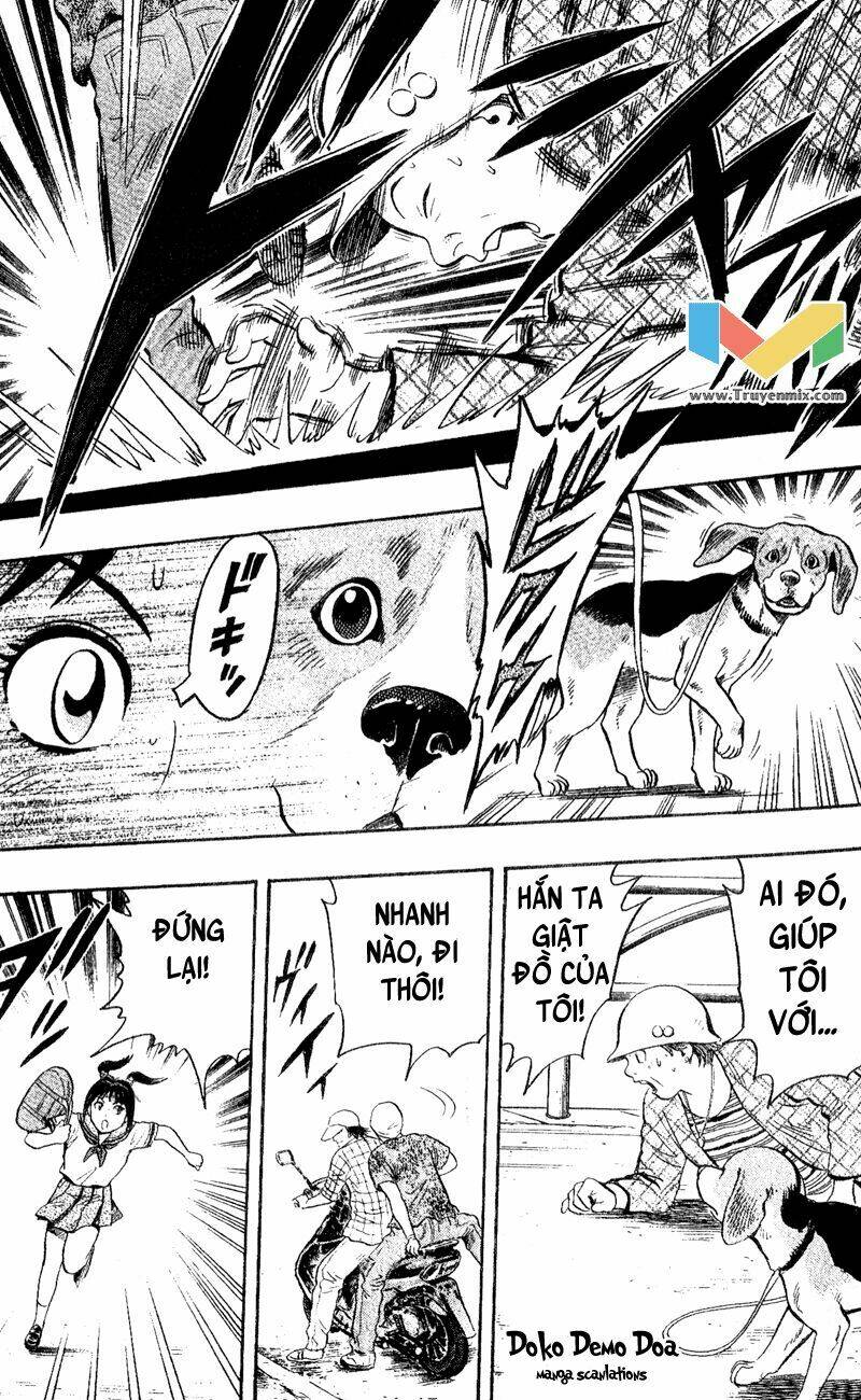 animal sense chapter 1 36