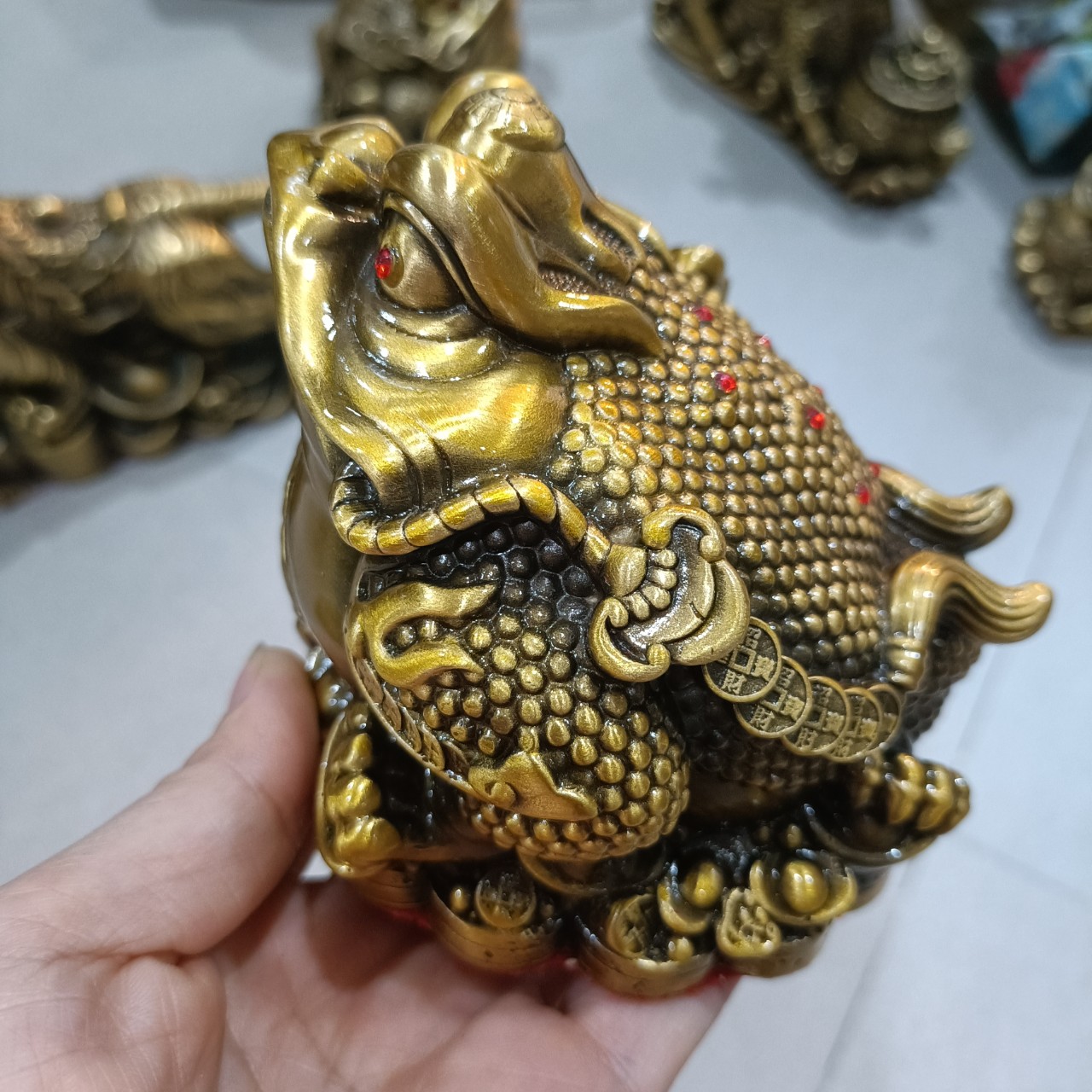 Cóc thiềm thừ, cóc đồng vàng, cóc cỡ nhỏ, cóc phong thủy