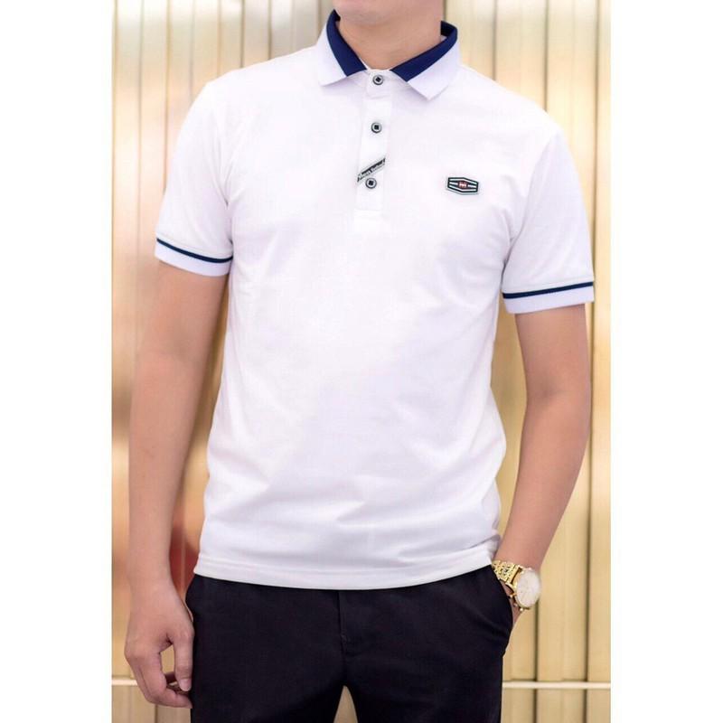 Áo Polo nam phối cổ bẻ Ampus vải cá sấu Cotton xuất xịn,chuẩn form trẻ trung, thanh lịch -POLO