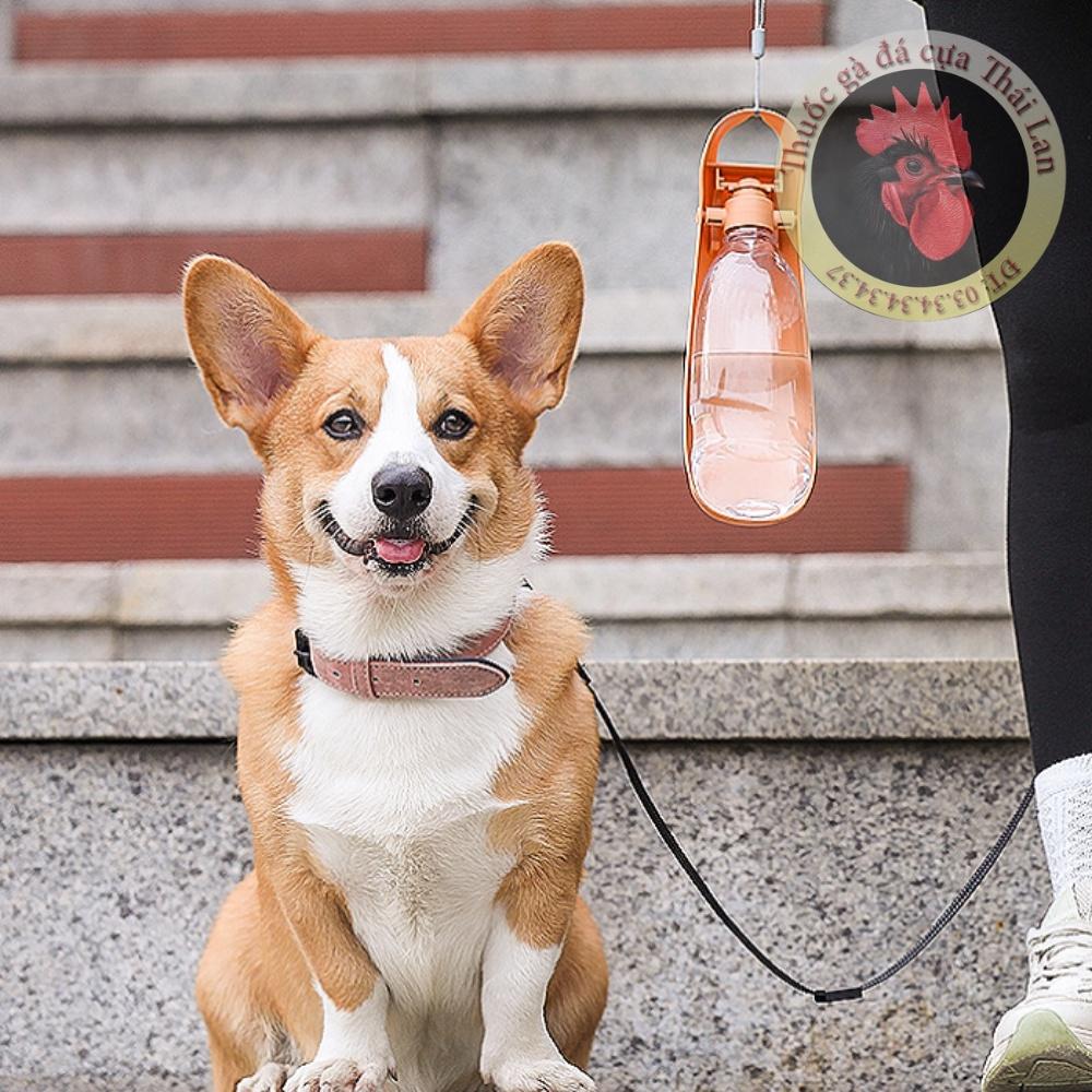 Bình nước du lịch , di động 550ml dành cho chó mèo