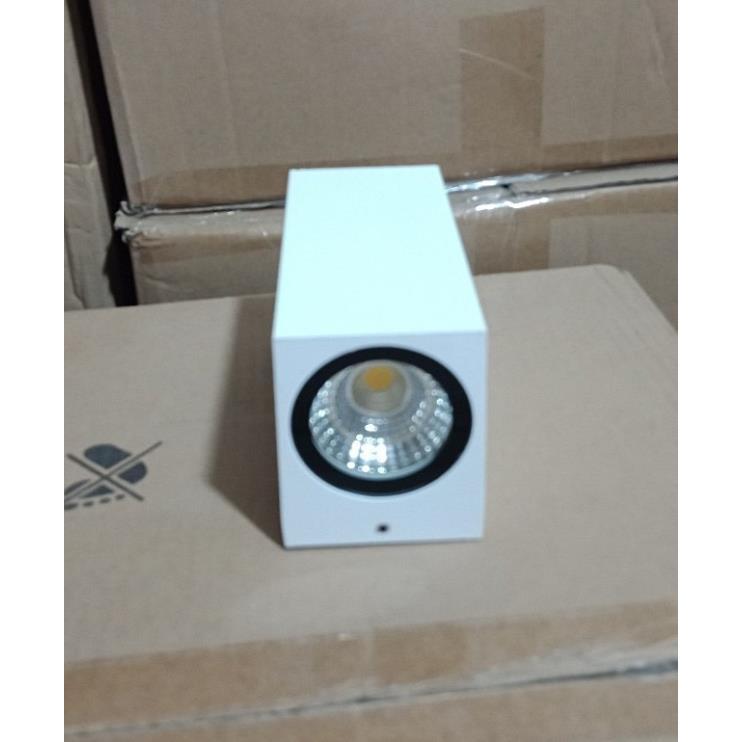 Đèn led hắt tường trang trí hắt sáng 2 đầu,