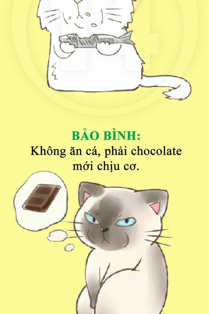 12 cung hoàng đạo vui chapter 36 16