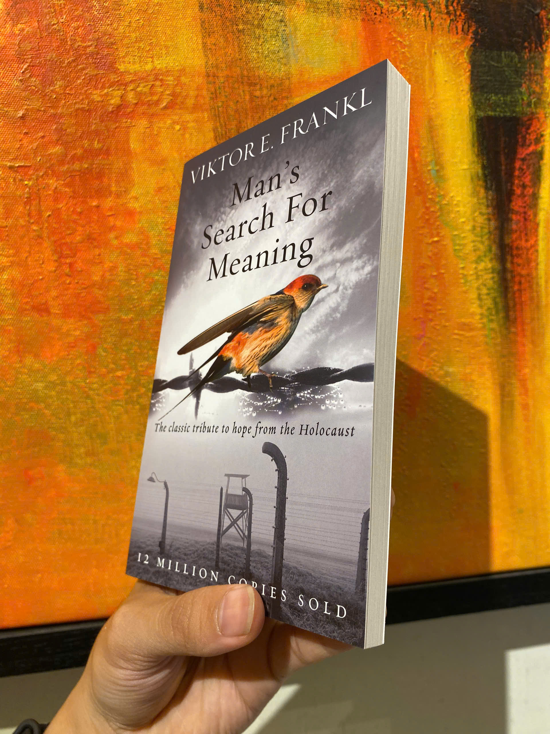 Sách - Man's Search for Meaning - The classic tribute to hope from the Holocaust by Viktor E Frankl - Logotherapy / English Novel / Sách Ngoại văn Nhập khẩu