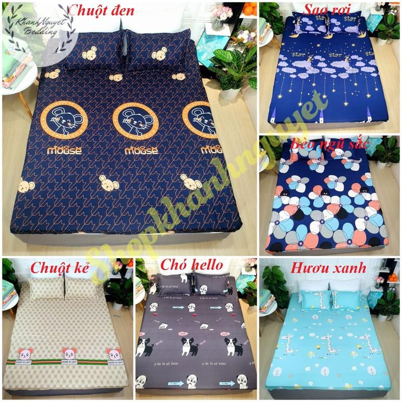 Lẻ = sỉ bộ ga chun cotton poly m6 hoặc m8