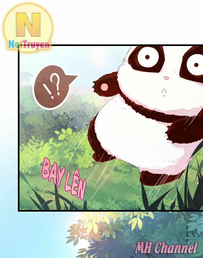 thiên thần gấu trúc muốn được ôm chapter 5 14