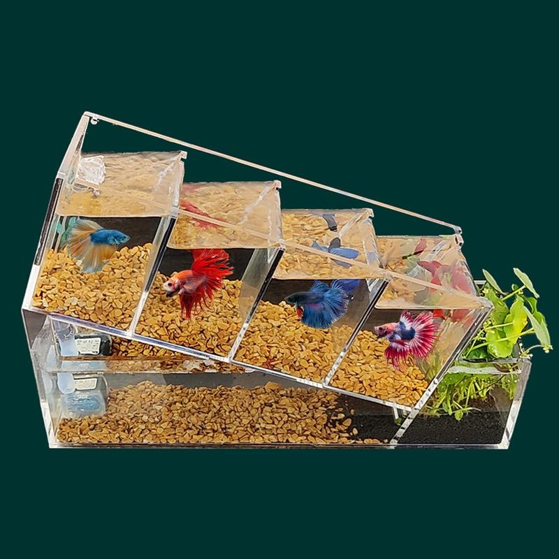 Bể Cá Xô Sáng Tạo Bể Cá Nhỏ Acrylic Để Bàn Đa Ngăn Cách Ly Tự Tuần Hoàn Lọc Không Thay Nước Bể Sinh Thái