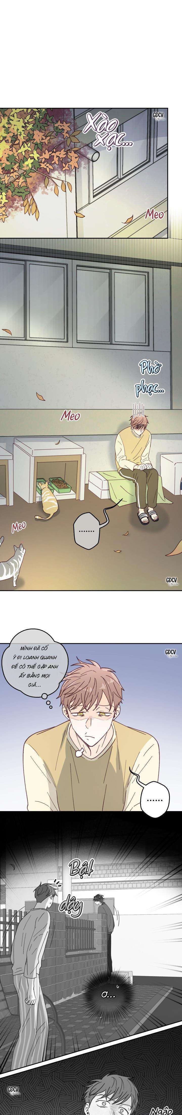 bạn trai vô song của tôi chapter 13 13