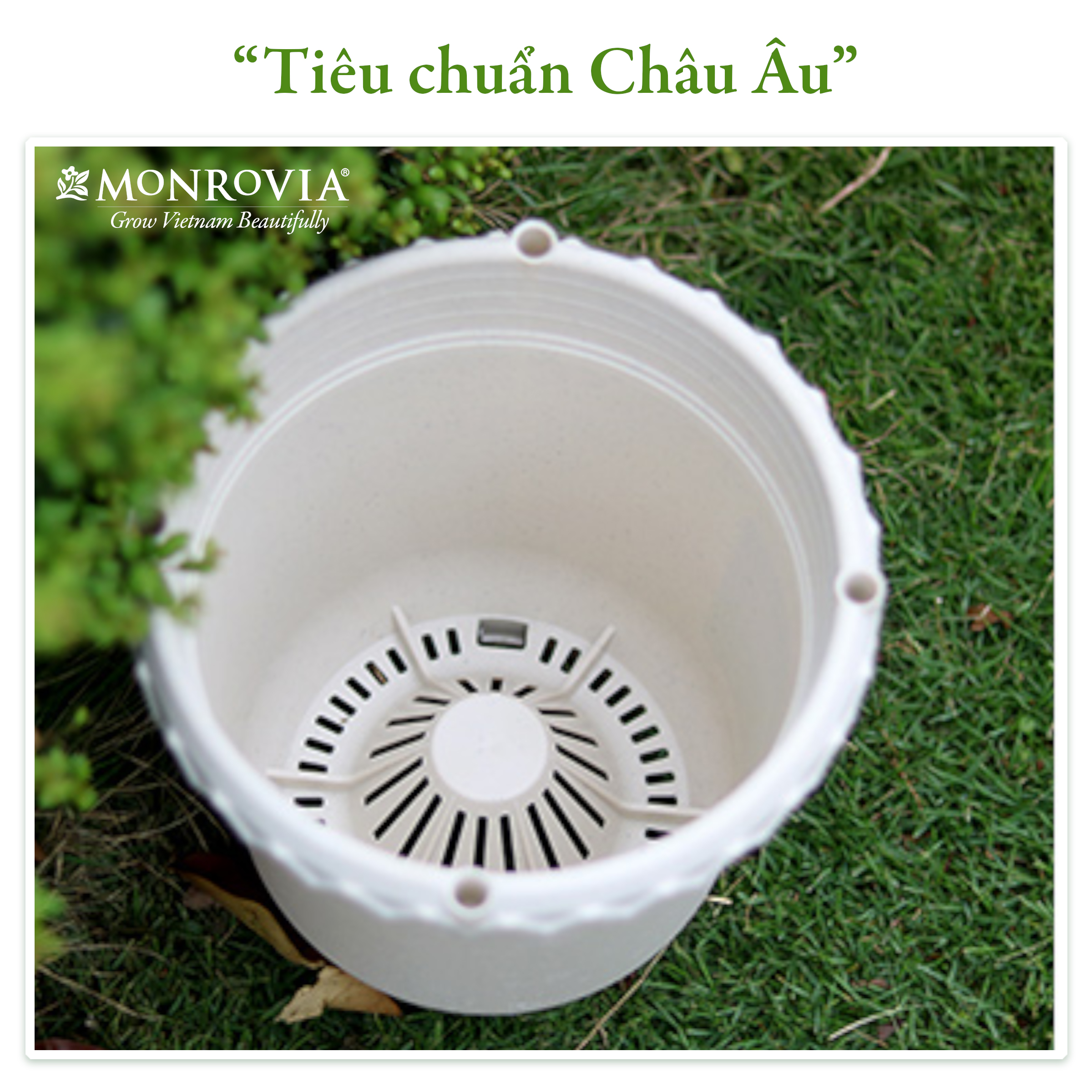 Chậu trồng cây Decor trang trí thương hiệu MONROVIA chuyên cho Hoa, hoa hồng, kèm đĩa lót thông minh, thiết kế tinh tế, tiêu chuẩn Châu Âu