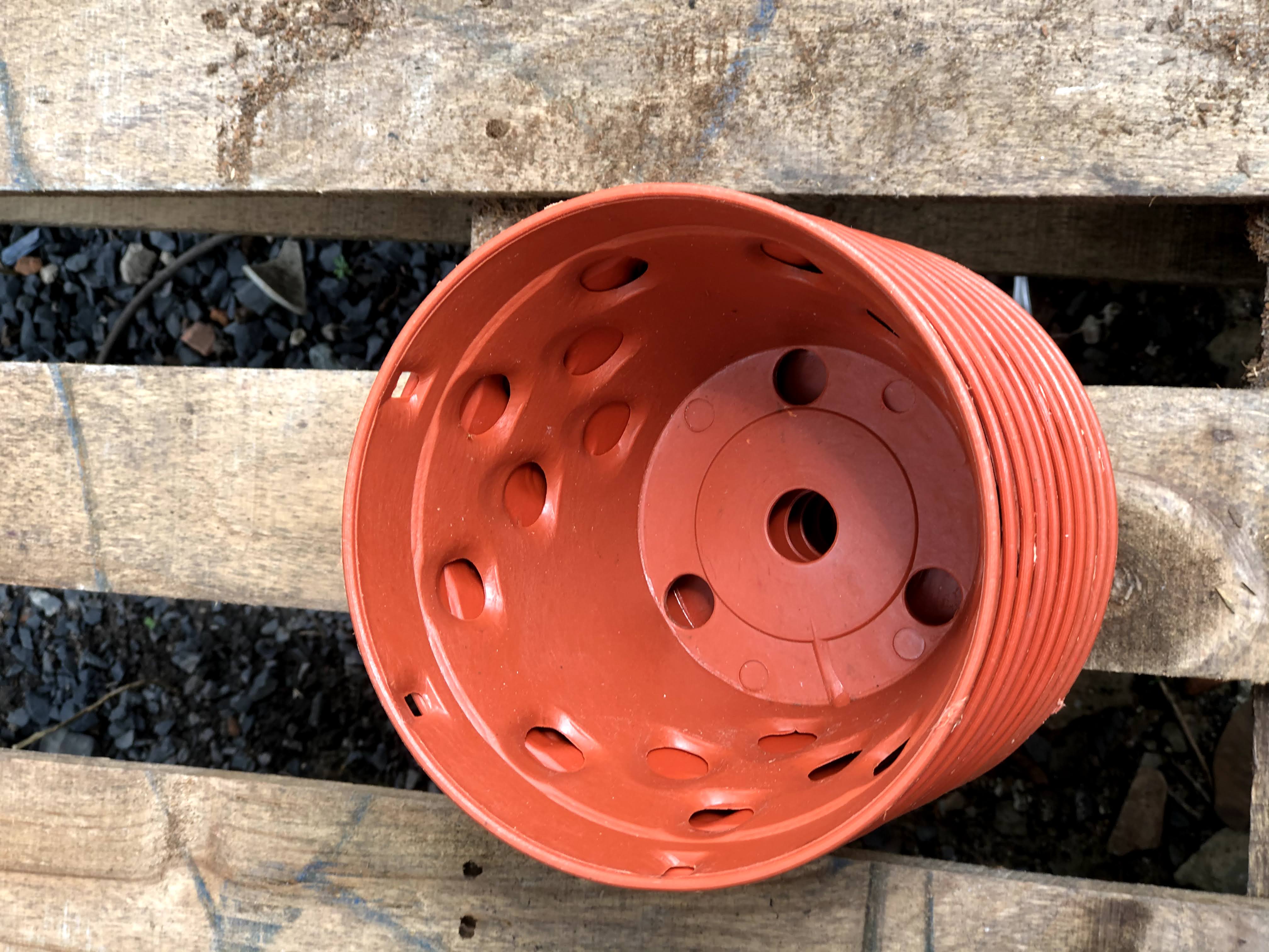 Bộ 10 chậu trồng Lan giả đất fi 145 x 100 mm