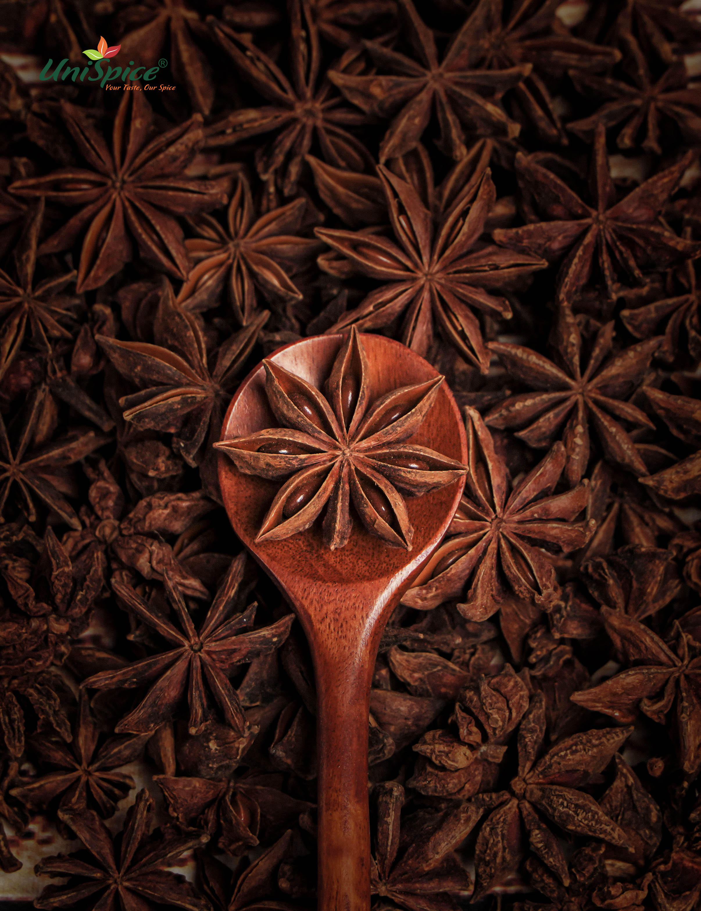 Hoa hồi UniSpice - Hoa hồi sấy khô/ Tiểu hồi/ Gia vị nấu phở thơm ngon