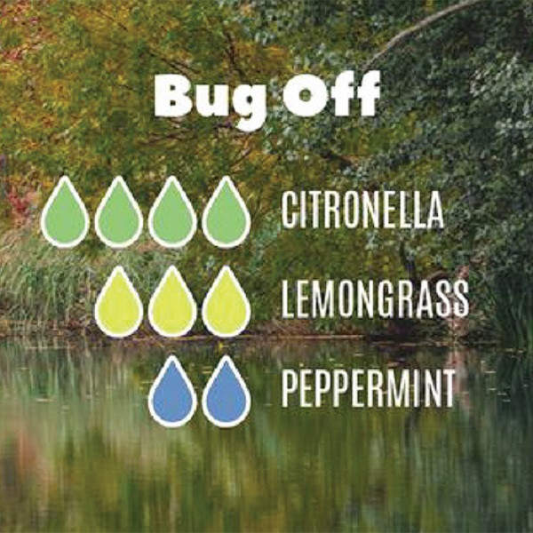 Combo Tinh dầu Oải Hương, Ngọc Lan Tây Julyhouse + Tặng Tinh dầu Sả Java 10ml.