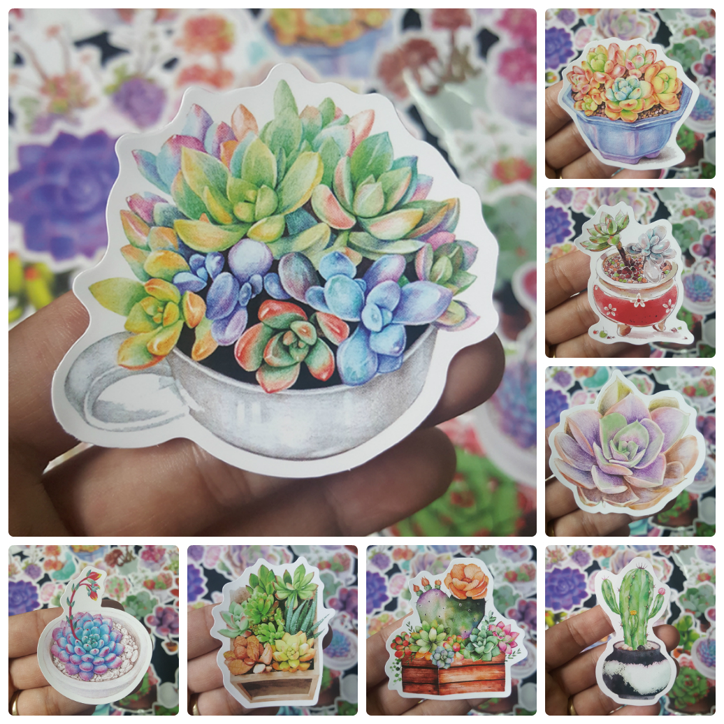 Bộ Sticker dán cao cấp chủ đề SEN ĐÁ SUCCULENTS - Dùng dán Xe, dán mũ bảo hiểm, dán Laptop