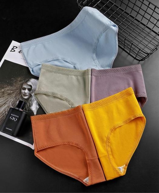 Combo 3 Quần lót cotton viền ren sexy quyến rũ thấm hút mồ hôi QC48 - giao màu ngẫu nhiên