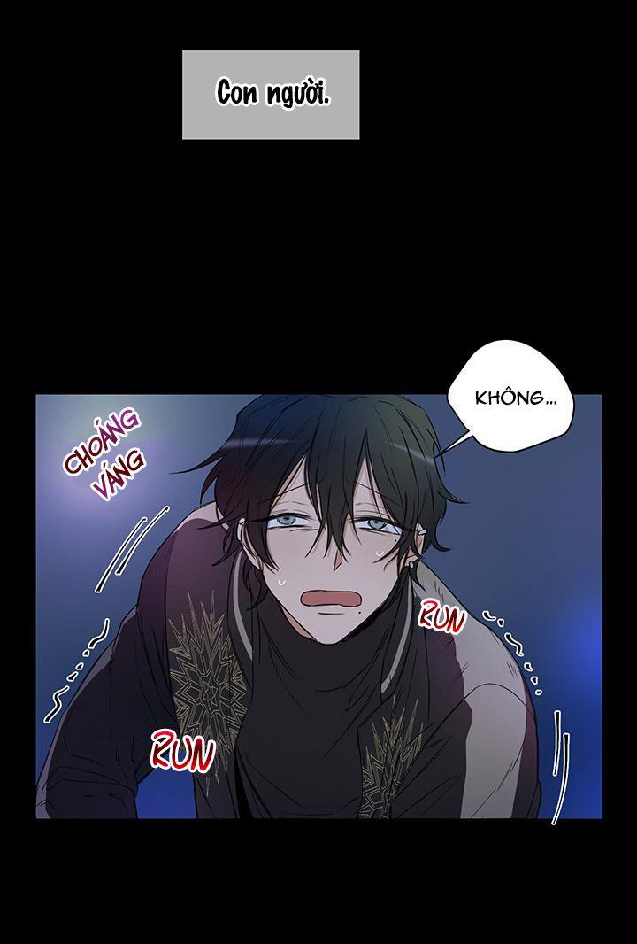 thành phố cạm bẫy chapter 1 19