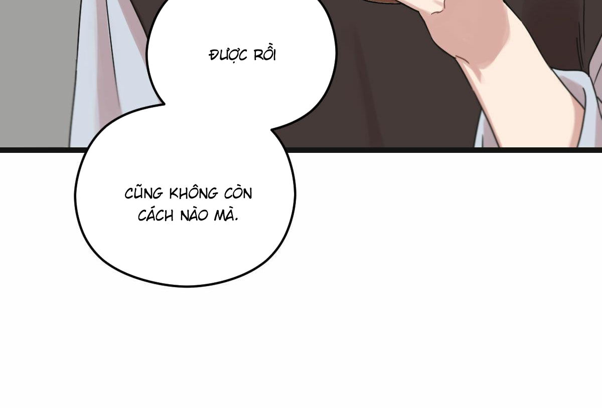 tương phùng chapter 22 267