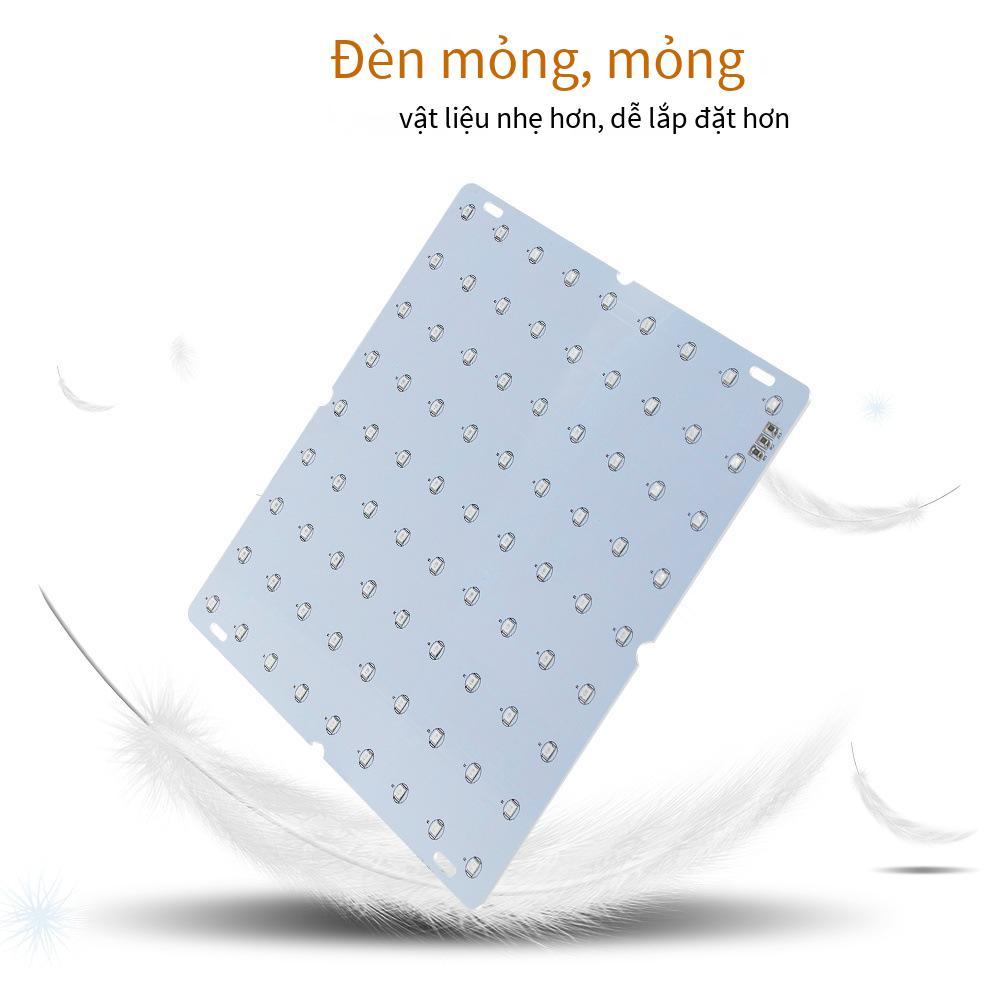 Đảm bảo chất lượng bán hàng trực tiếp Đèn LED trồng cây đèn bảng lượng tử quang phổ đỏ và xanh dương cây mọng nước tăng trưởng lấp đầy ánh sáng đèn trồng cây trong nhà