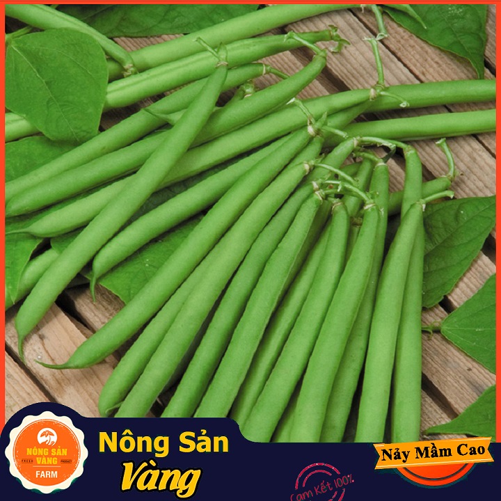 Hạt giống Đậu Cove Bụi Lùn ( Gói 10 Gram ) - Nông Sản Vàng