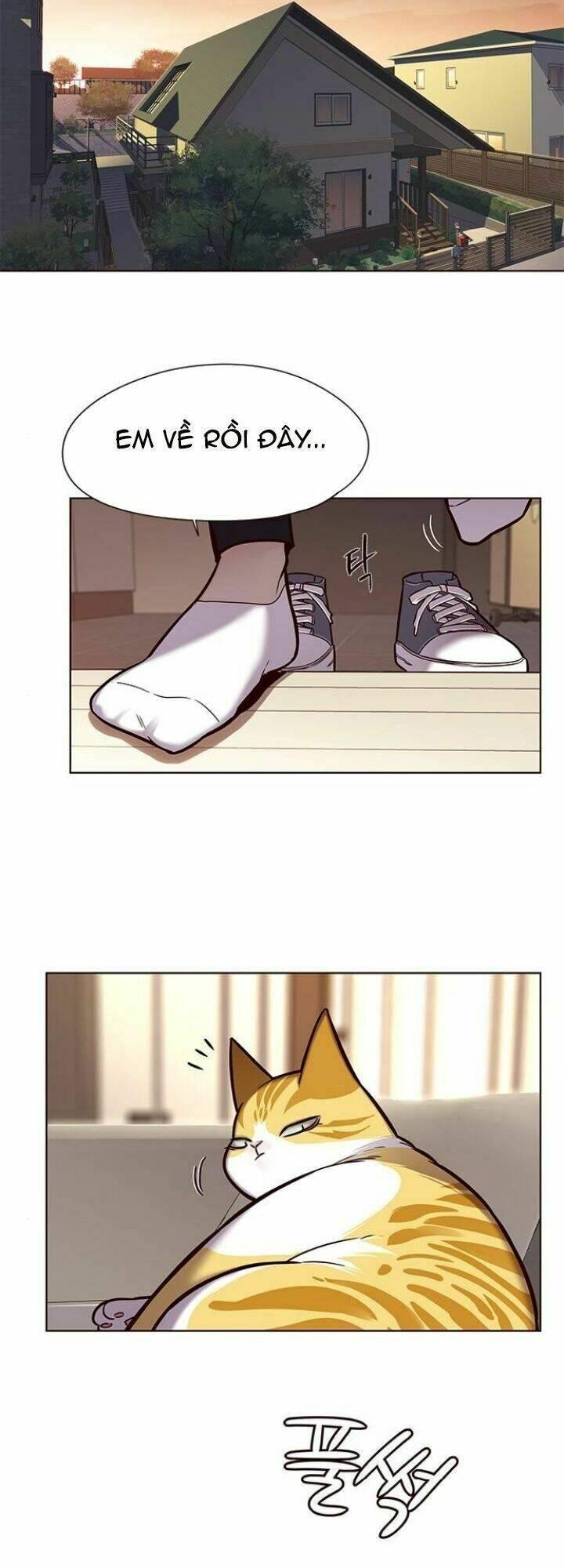 biến thân thành mèo chapter 118 40