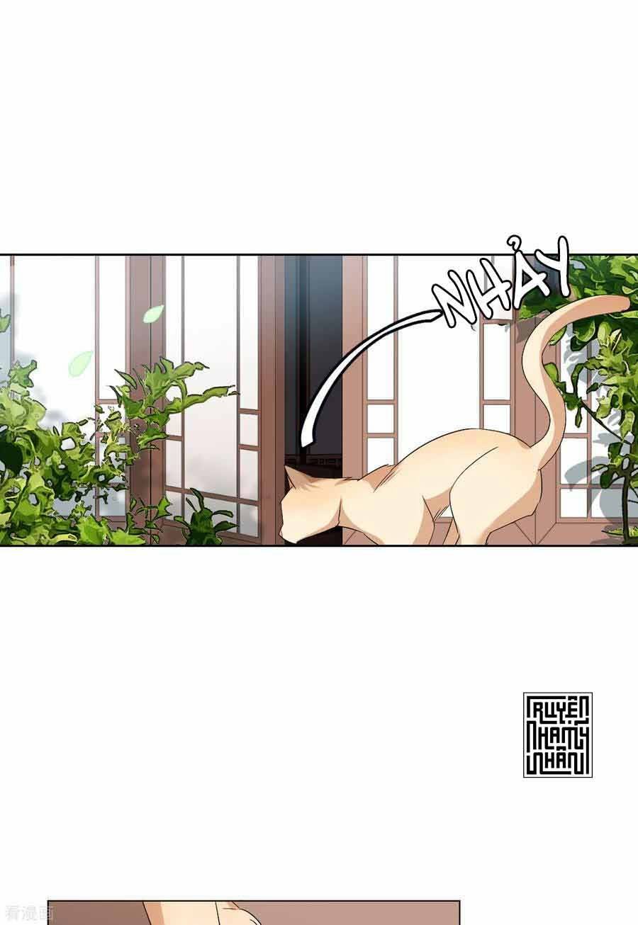 cô ấy đến rồi, xin nằm xuống! chapter 68 25