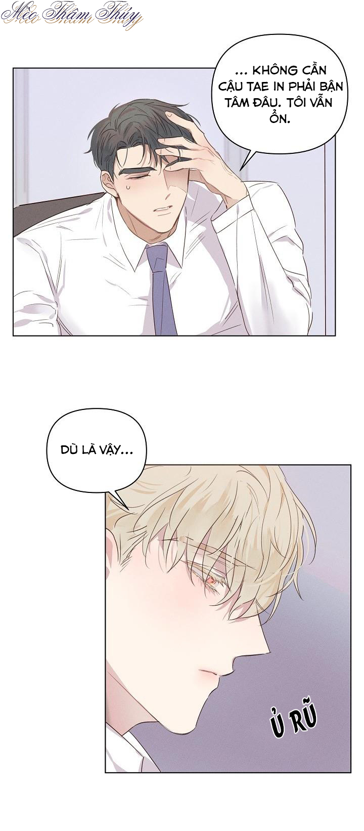 nơi tình yêu định mệnh chapter 2 9