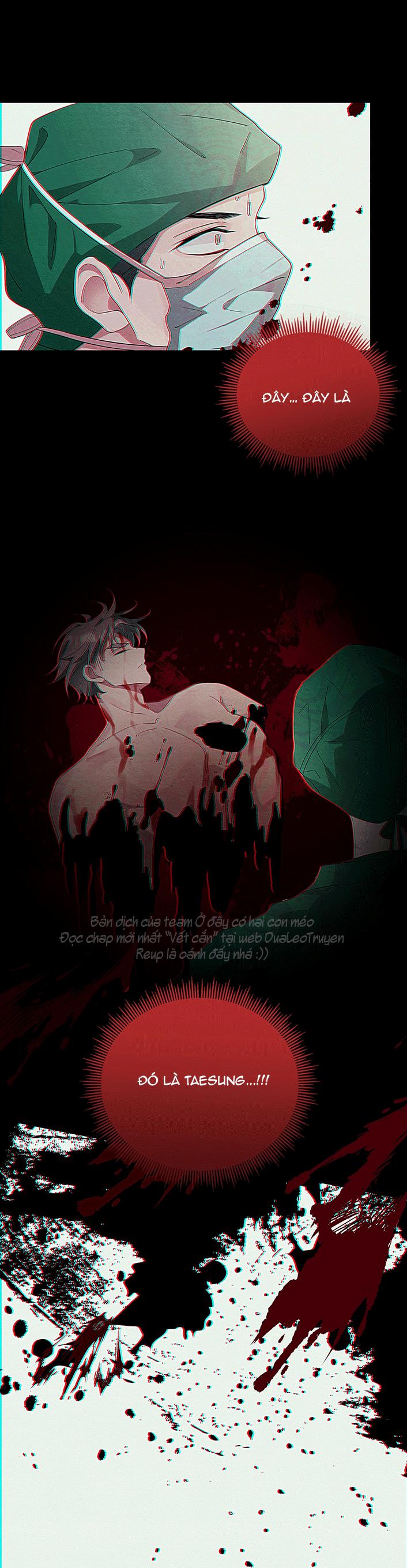 vết cắn tình yêu chapter 12 12