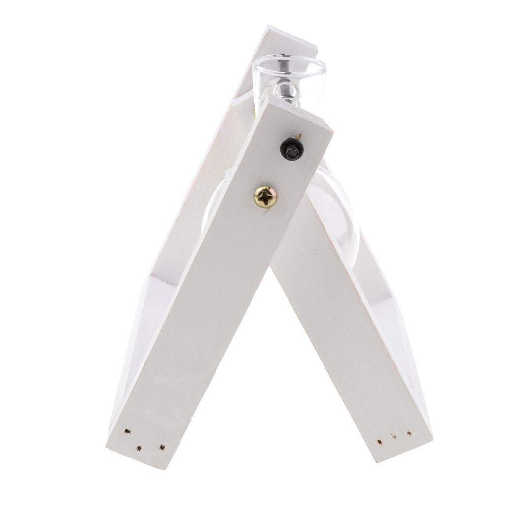 Vintage Glass Tabletop Hydroponic Flower Vase