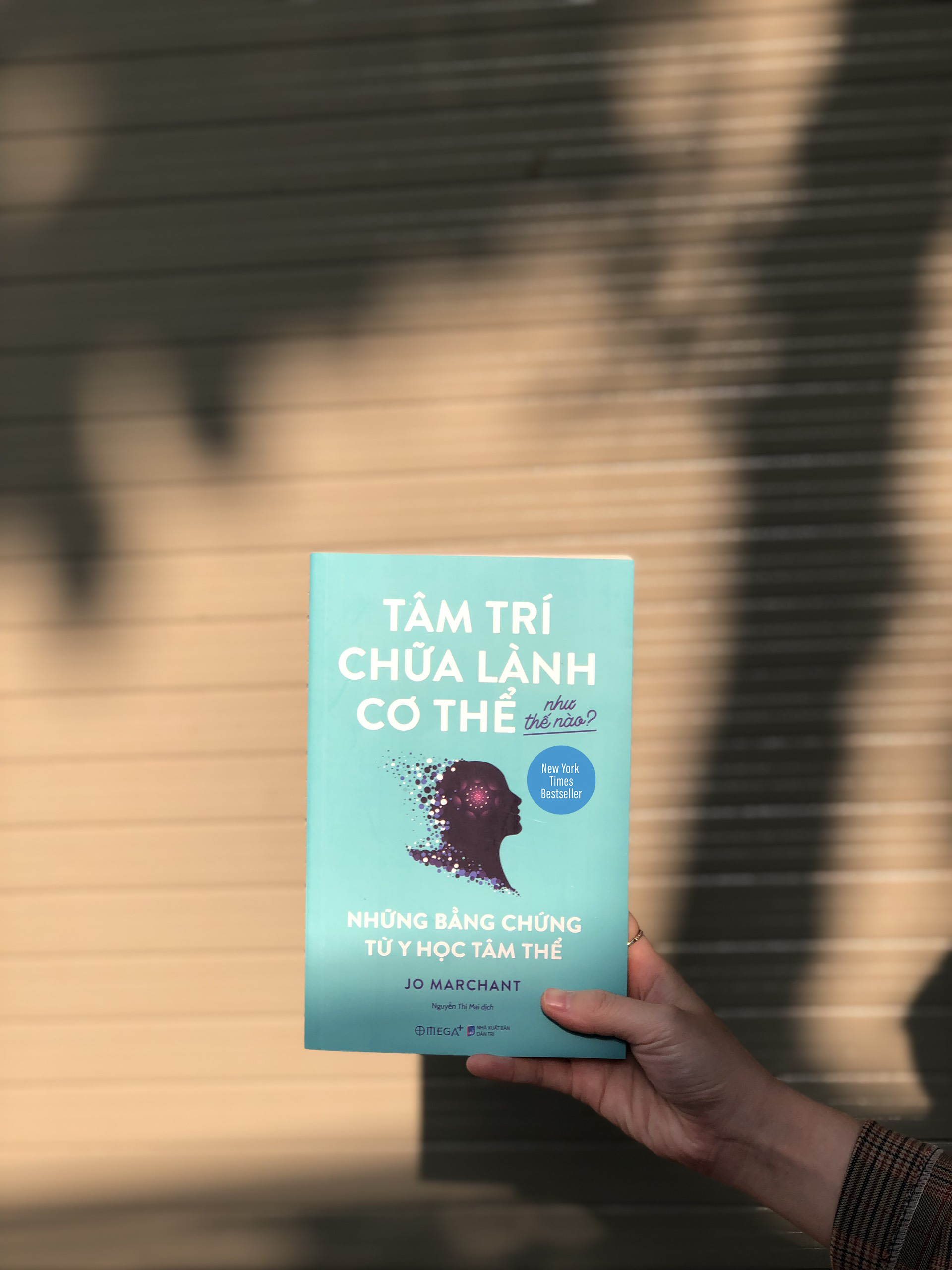 Tâm Trí Chữa Lành Cơ Thể Như Thế Nào? - Những Bằng Chứng Từ Y Học Tâm Thể