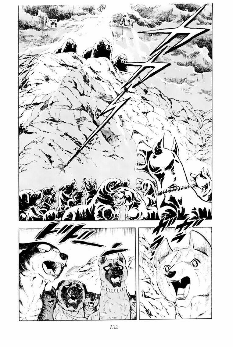 chú chó có nghĩa - ginga nagareboshi gin chapter 33.1 26