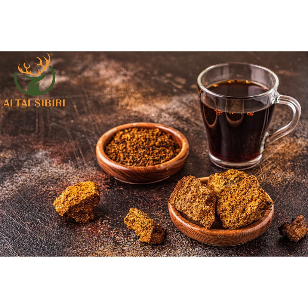 Nấm Chaga Sibiri - Pha trà, Làm chậm sự phát triển của khối u, tốt cho người huyết áp cao, tim mạch, tiểu đường