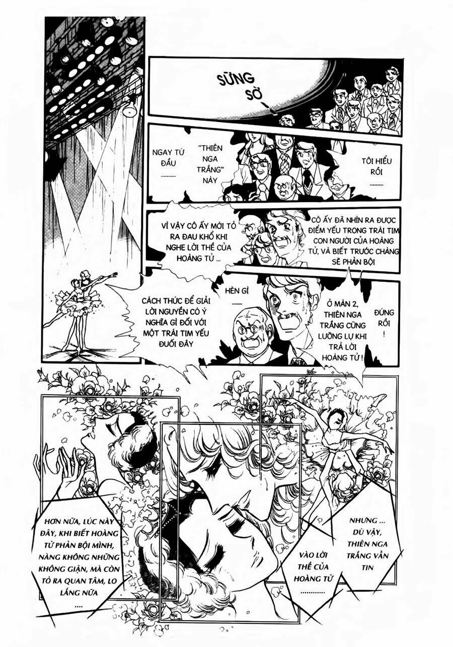 swan - vũ khúc thiên nga chapter 47 11