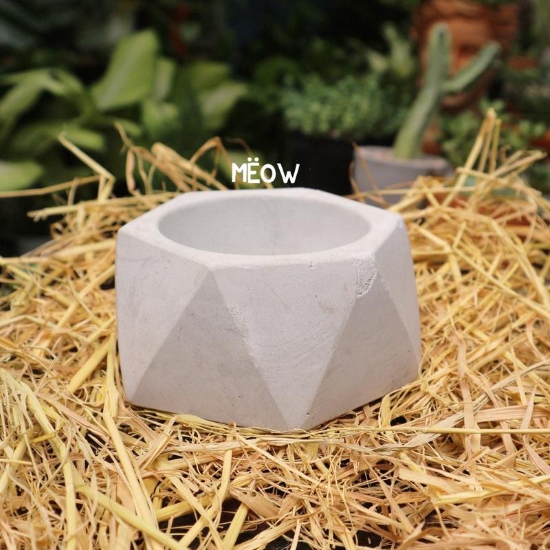 COMBO 5 chậu xi măng | Chậu trồng sen đá, xương rồng, cây văn phòng nhỏ
