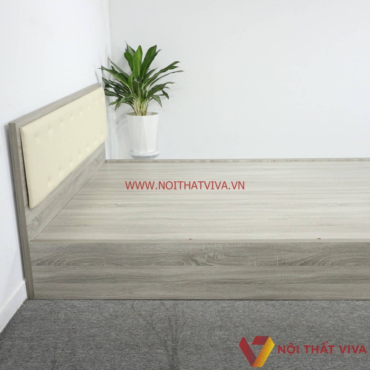 Giường Ngủ Gỗ MDF Melamine Màu Xám Vân Gỗ Có Đầu Nệm Kem Đẹp Hiện Đại