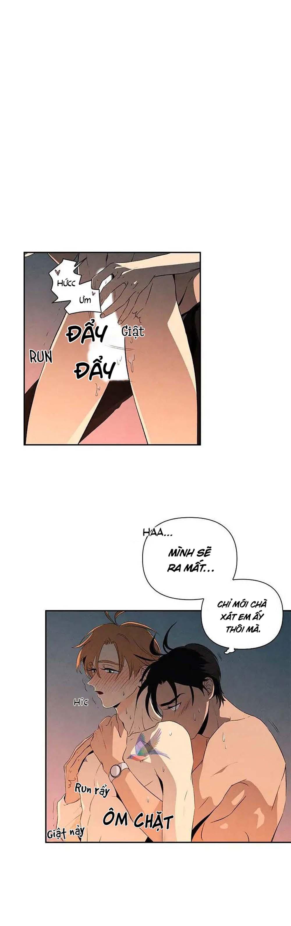 bona sort chapter 11 2