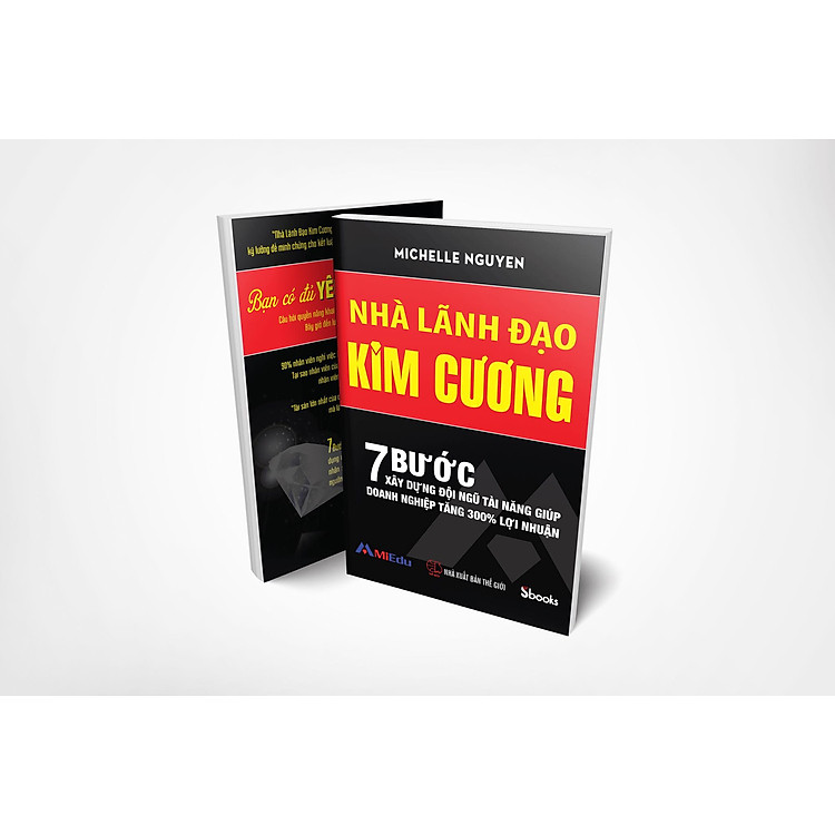 Combo 2 cuốn: LÃNH ĐẠO TỪ TÂM + NHÀ LÃNH ĐẠO KIM CƯƠNG