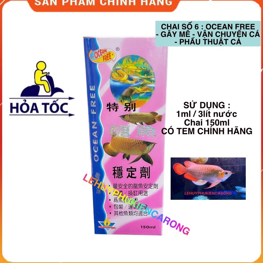 Chai Số 6 150ml, Gây Mê Cho Cá Rồng Hàng Công Ty