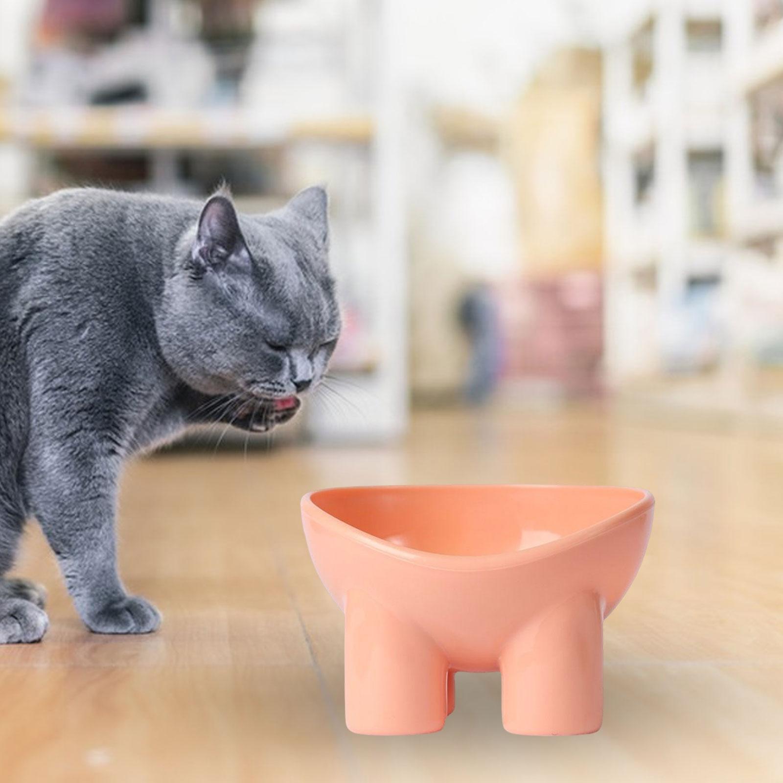 Cat Food Bowl Pet Feeding Dish Feeder Food Container Pet