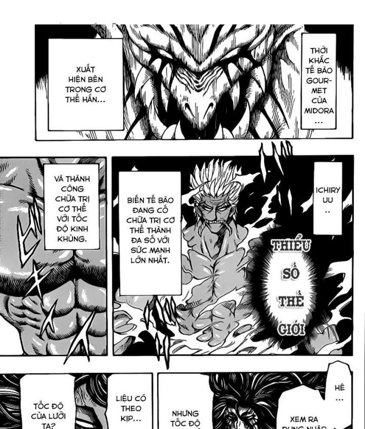 thánh tỏi sành ăn chapter 197 26