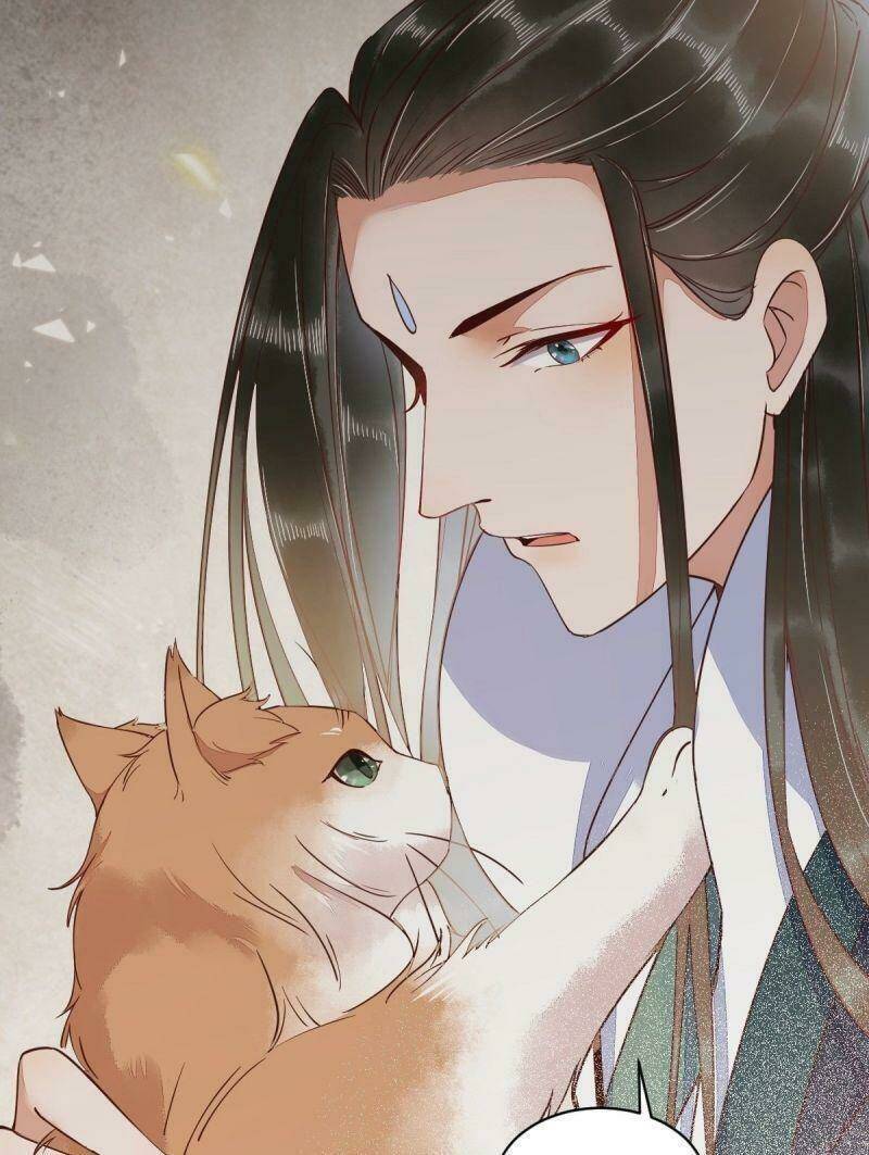 sát thủ vương phi không dễ chọc chapter 34 3