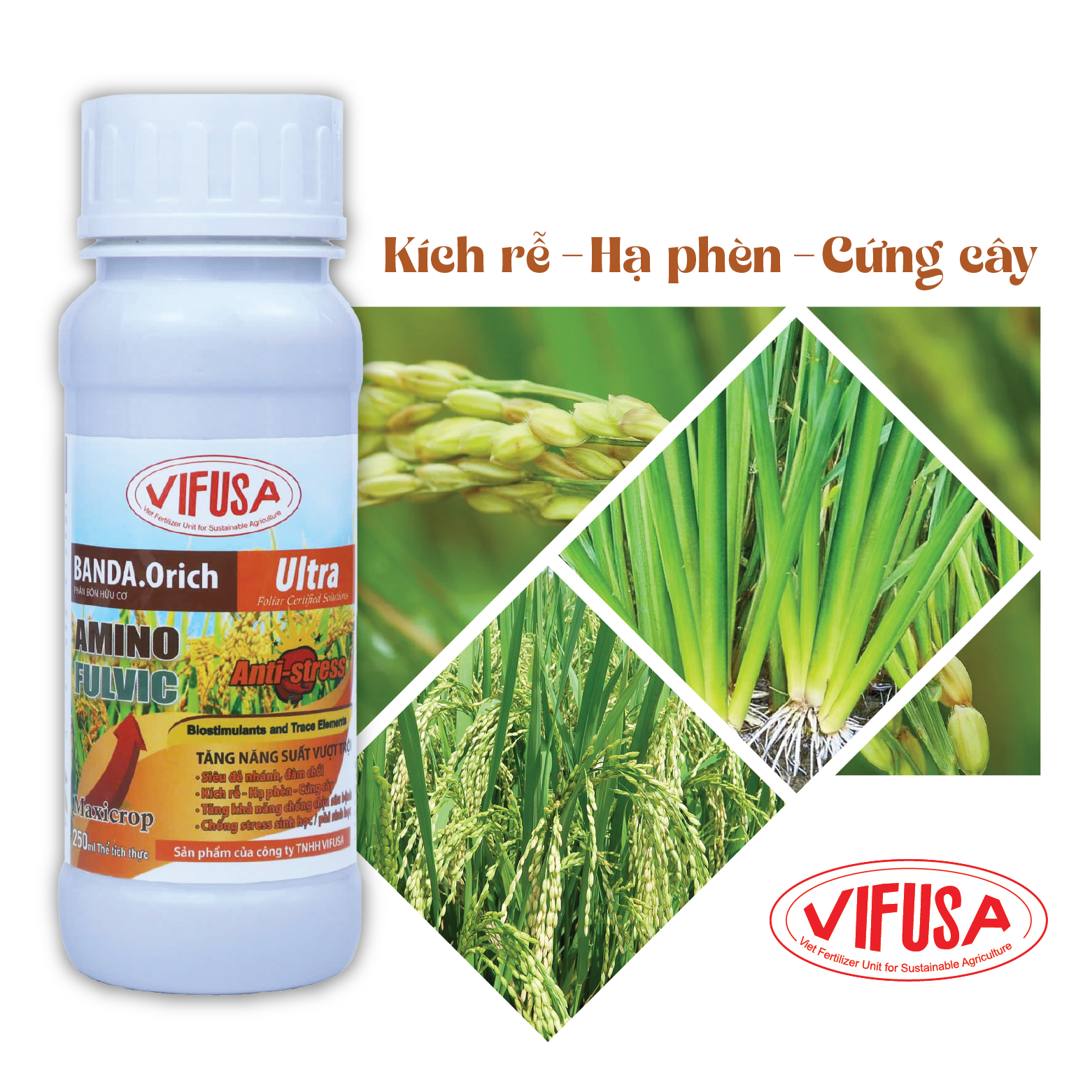 BANDA.Orich - Phân bón Amino Fulvic chai 250ml