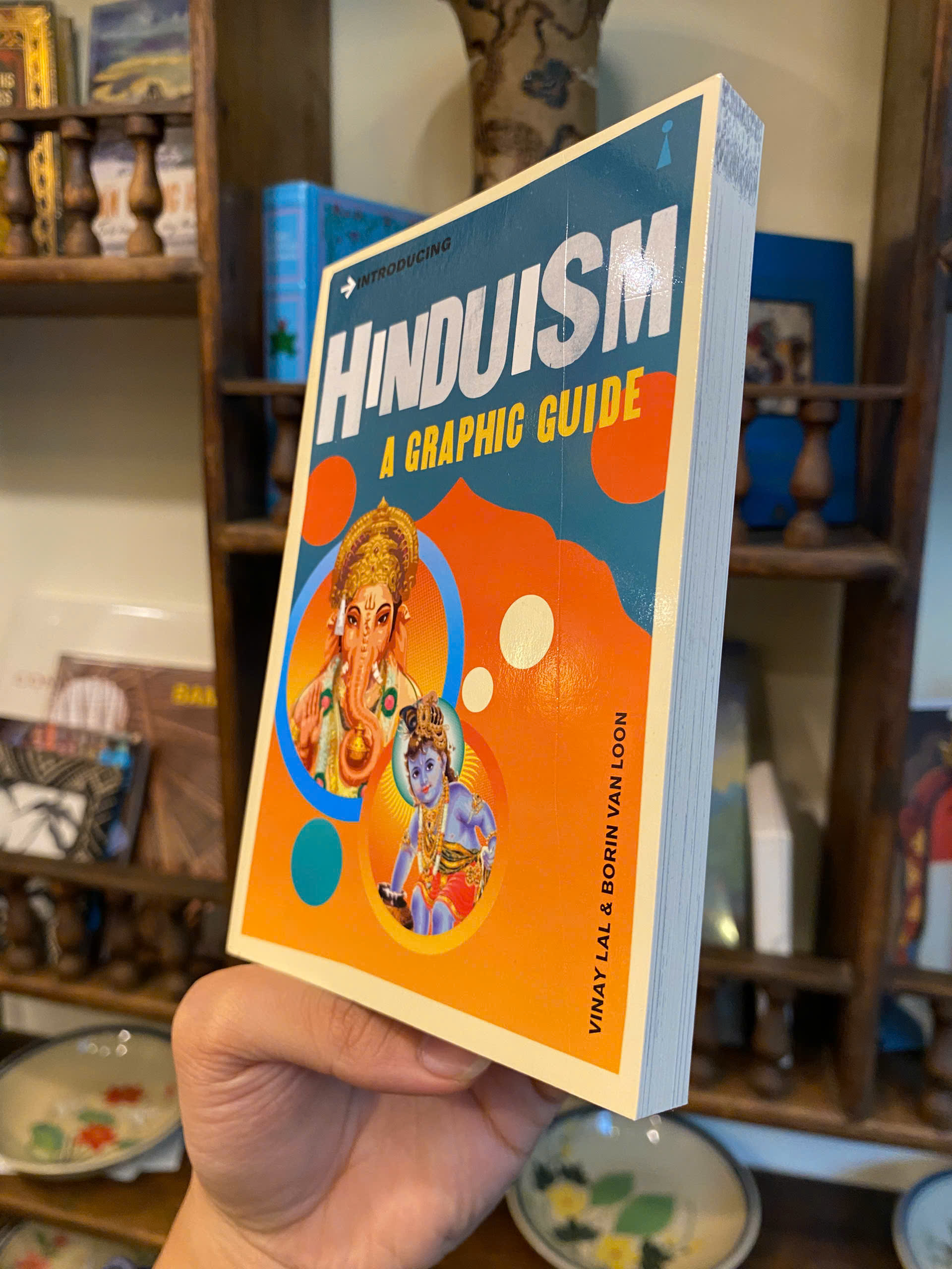 Sách - Introducing Hinduism A Graphic Guide by Vinay Lal - Religion/Nonfiction/Hinduism/English book