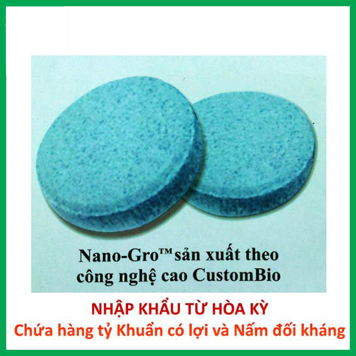 1 viên Phân bón vi sinh NANO-GRO. Chứa hàng tỷ bào tử vi nấm đối kháng trichoderma bacillus