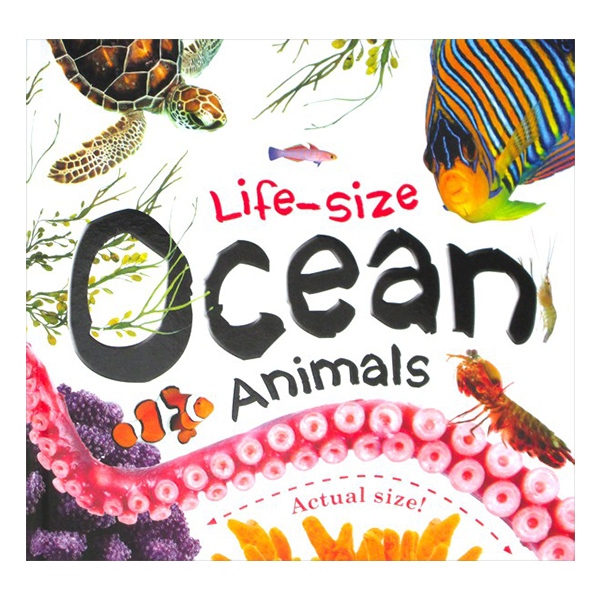 Life-Size Ocean Animals