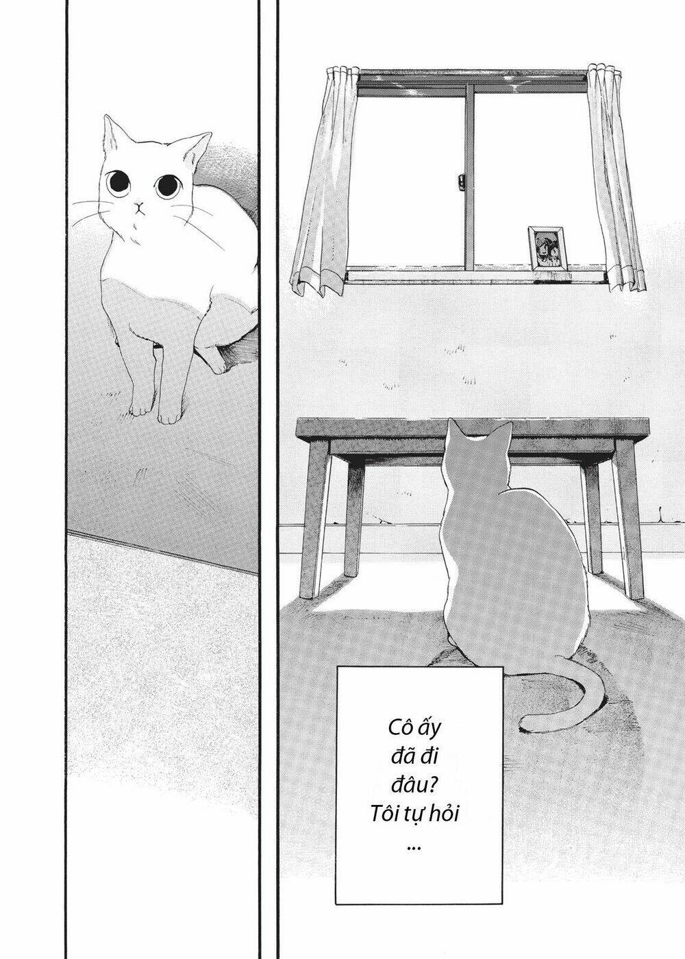 chú mèo và cô chủ chapter 4 7