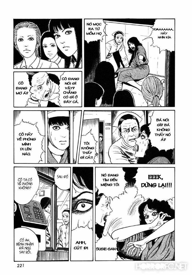 tuyển tập truyện ngắn kinh dị của ito junji chapter 8.7 24