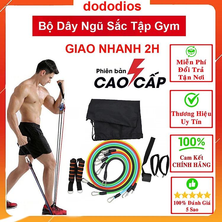 Dây Ngũ Sắc Tập Gym dododios, Bộ 5 Dây Đàn Hồi Kháng Lực Tập Full Body, Dụng Cụ Tập Thể Hình Tại Nhà Đa Năng