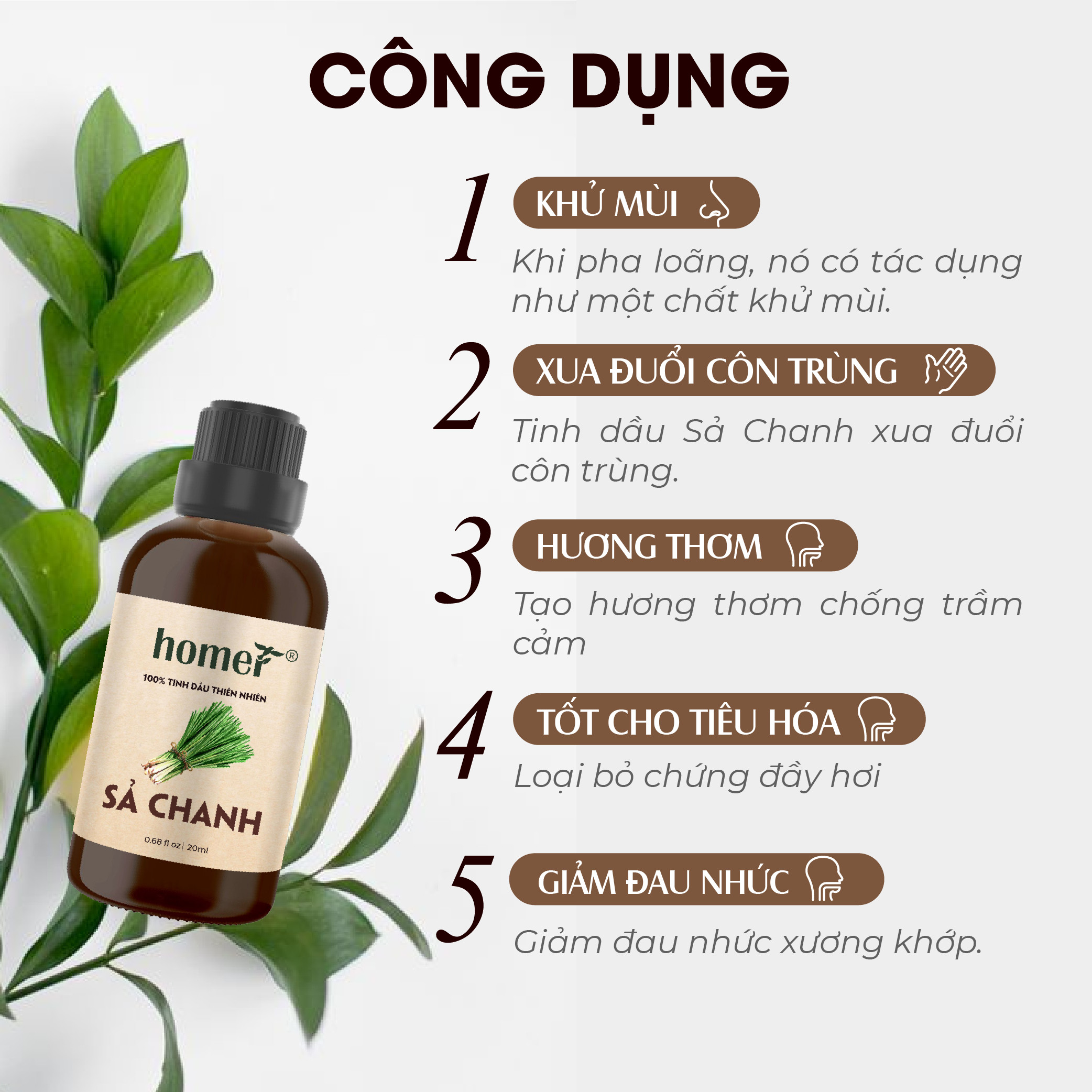 Tinh Dầu Thiên Nhiên Nguyên Chất HOMER Sả Chanh/ Quế/ Oải hương/ Bưởi/ Cam/ Hoa Lài/ Quýt/ Tràm Huế/ Hoa Hồng/ Lavender/ Ngọc Lan Tây/ Tràm Trà/ Sả Java/ Trà Xanh/ Cà Phê/ Chanh