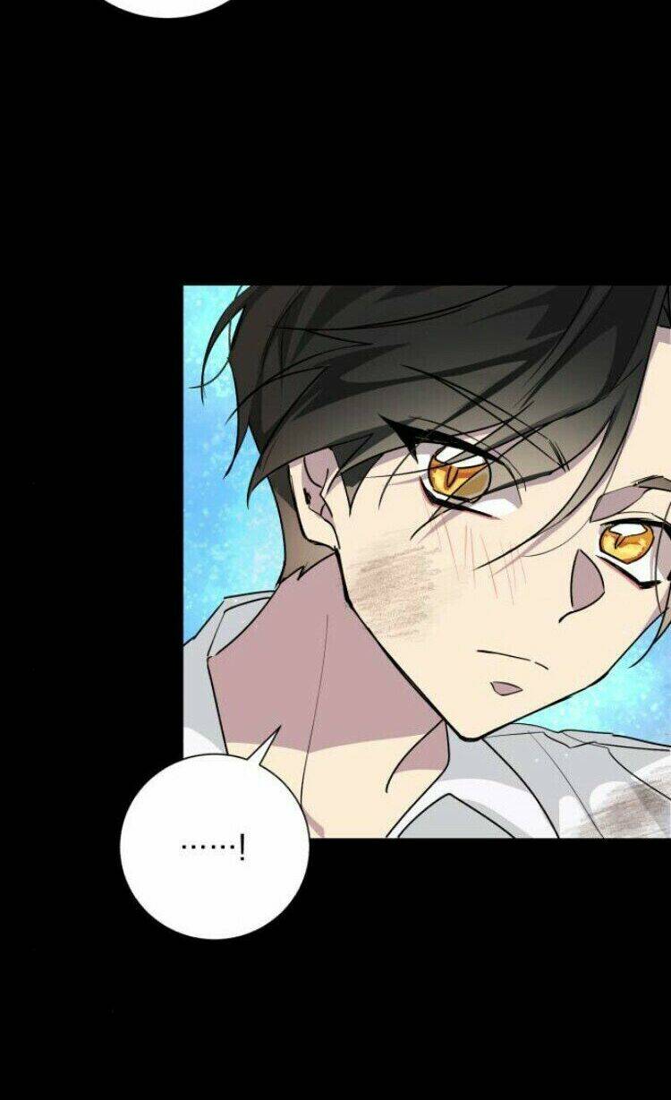 ta đã từng mong nàng biến mất chapter 16 55