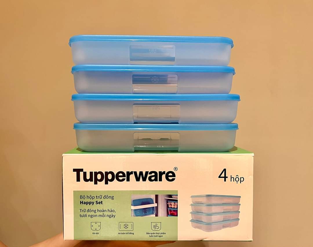 Set hộp trữ đông 650ml Thấp (dẹt) Tupperware, siêu tiện lợi